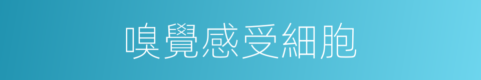 嗅覺感受細胞的同義詞