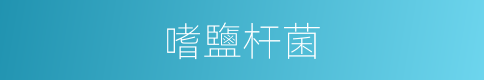 嗜鹽杆菌的同義詞