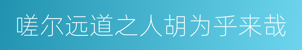 嗟尔远道之人胡为乎来哉的同义词
