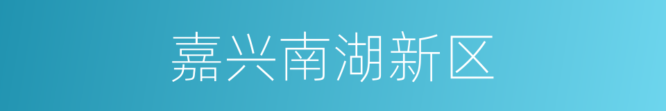 嘉兴南湖新区的同义词