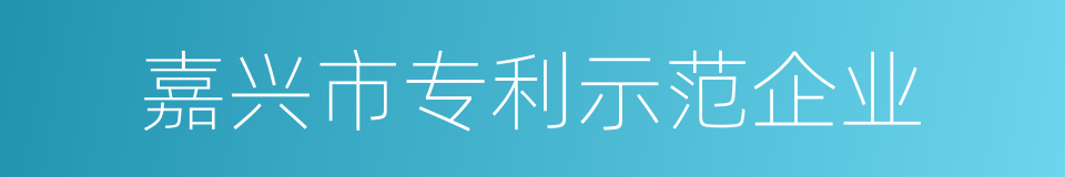 嘉兴市专利示范企业的同义词