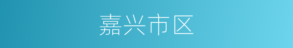 嘉兴市区的同义词