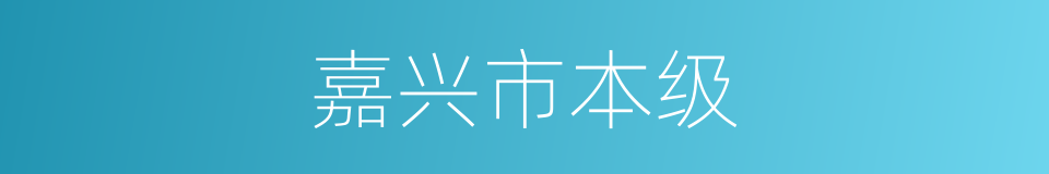 嘉兴市本级的同义词