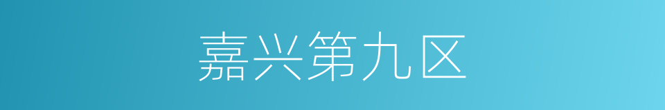 嘉兴第九区的同义词