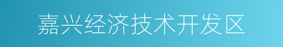 嘉兴经济技术开发区的同义词