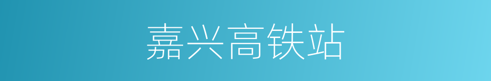 嘉兴高铁站的同义词
