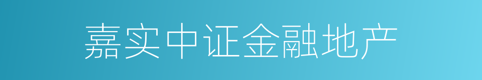 嘉实中证金融地产的同义词