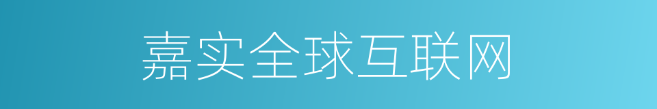 嘉实全球互联网的同义词