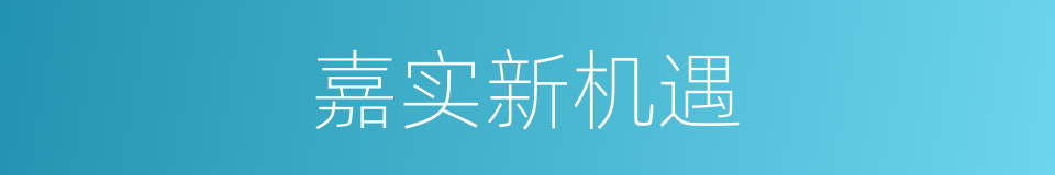 嘉实新机遇的同义词