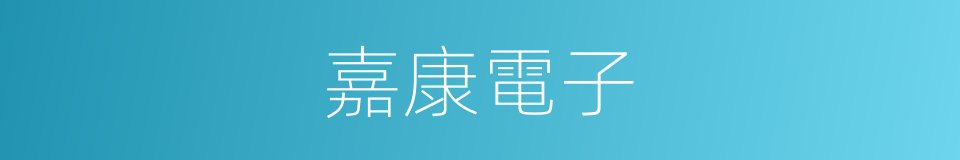 嘉康電子的同義詞