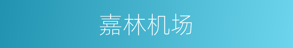 嘉林机场的同义词