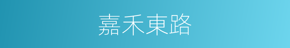 嘉禾東路的同義詞