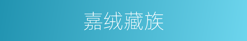 嘉绒藏族的同义词