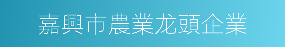 嘉興市農業龙頭企業的同義詞