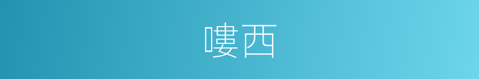 嘍西的意思