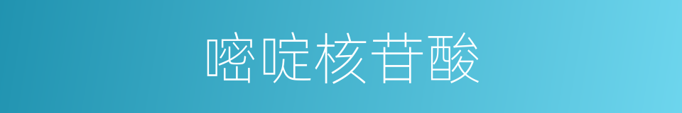 嘧啶核苷酸的同义词