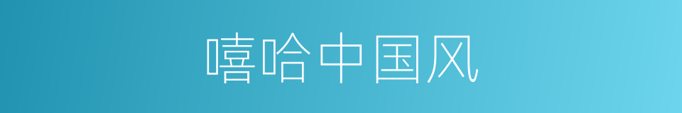 嘻哈中国风的同义词