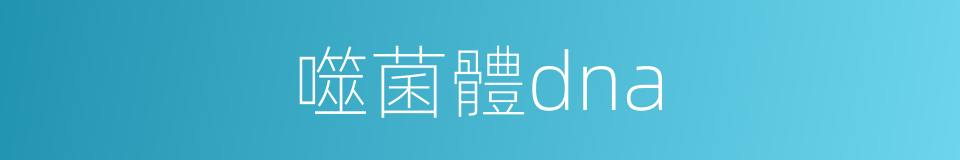 噬菌體dna的同義詞