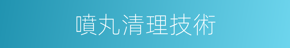 噴丸清理技術的同義詞