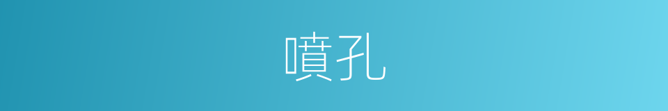 噴孔的同義詞