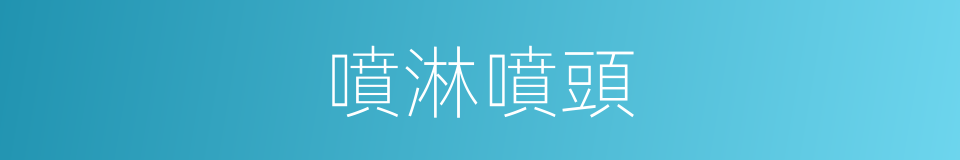 噴淋噴頭的同義詞