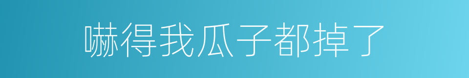 嚇得我瓜子都掉了的同義詞