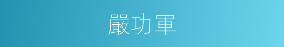 嚴功軍的同義詞