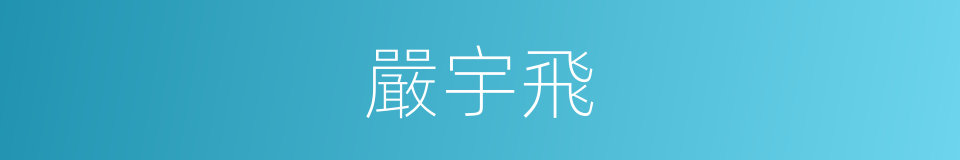 嚴宇飛的同義詞