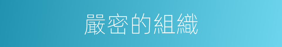 嚴密的組織的同義詞