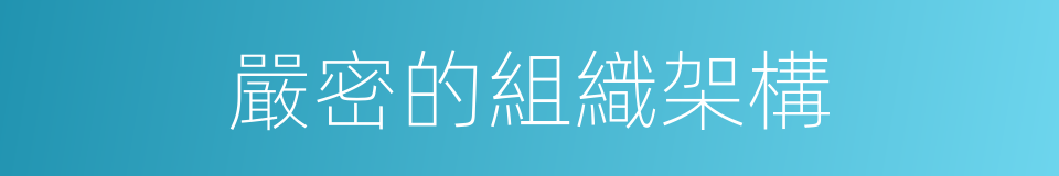 嚴密的組織架構的同義詞