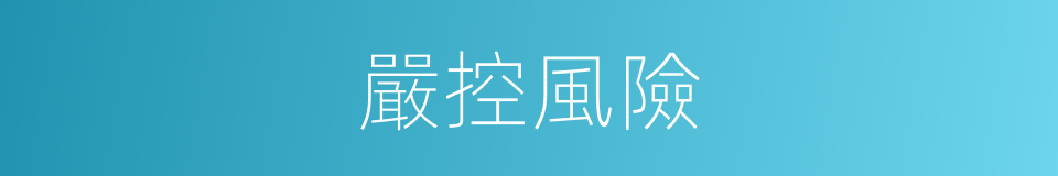 嚴控風險的同義詞