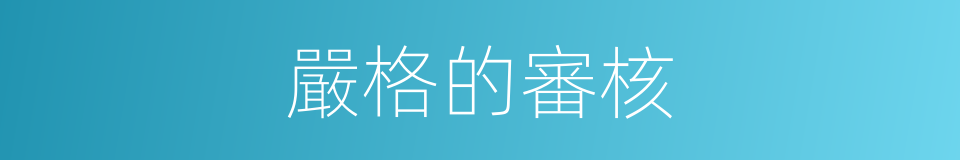 嚴格的審核的同義詞