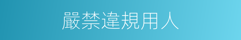 嚴禁違規用人的同義詞