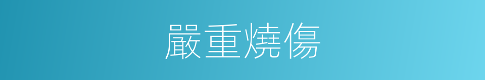 嚴重燒傷的同義詞
