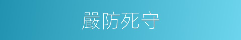 嚴防死守的意思