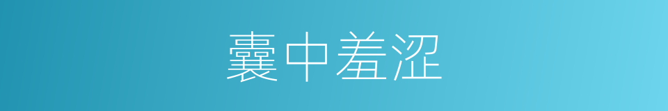 囊中羞涩的意思