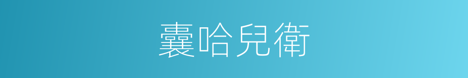 囊哈兒衛的同義詞