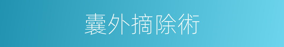 囊外摘除術的同義詞