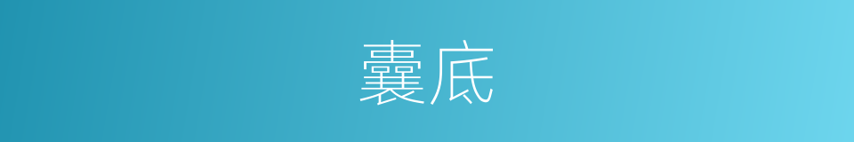 囊底的意思
