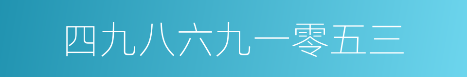 四九八六九一零五三的同义词