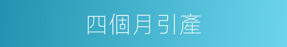 四個月引產的同義詞