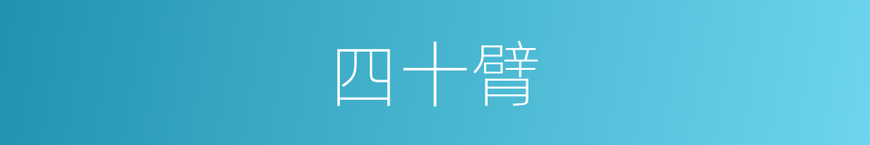 四十臂的同义词