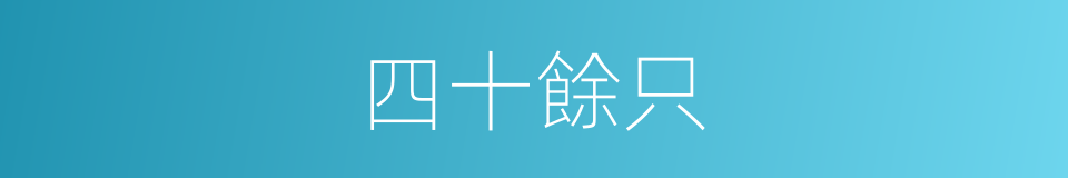 四十餘只的同義詞