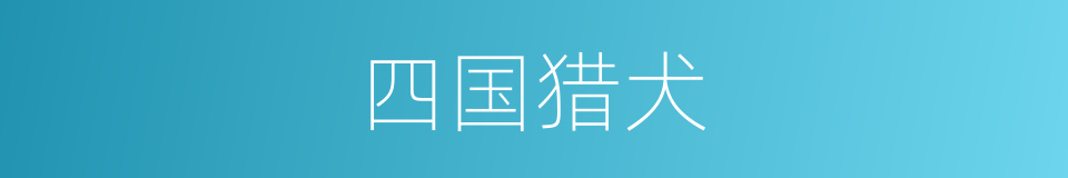 四国猎犬的同义词