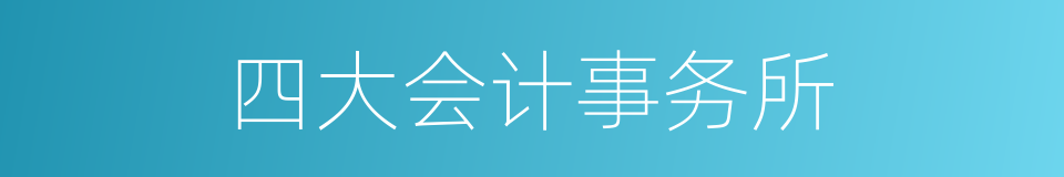 四大会计事务所的同义词