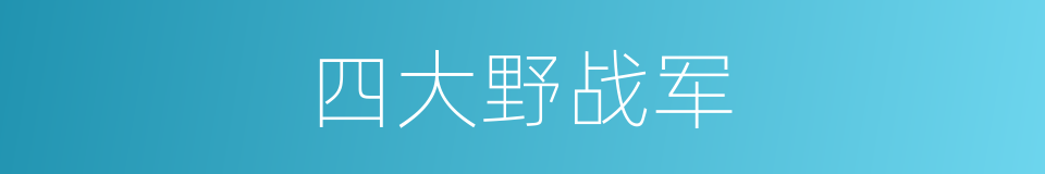 四大野战军的同义词