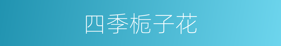 四季栀子花的同义词