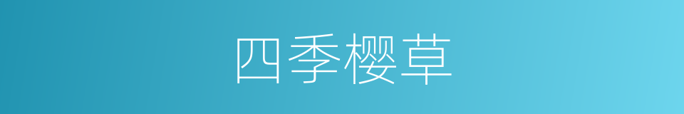 四季樱草的同义词