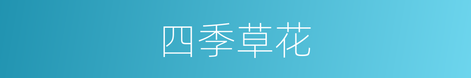 四季草花的同义词