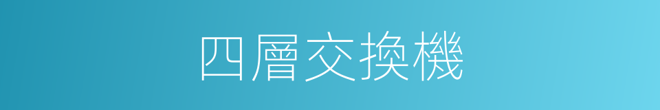 四層交換機的同義詞